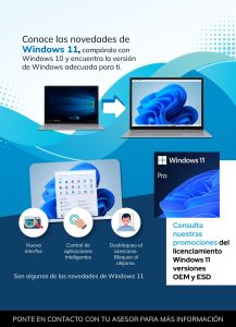 Windows-11-mail-ejecutivos-250123 (002)